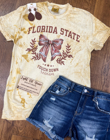 Florida State Color Blast Tee