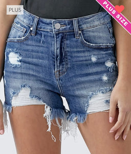 Plus Size High Rise Denim Shorts