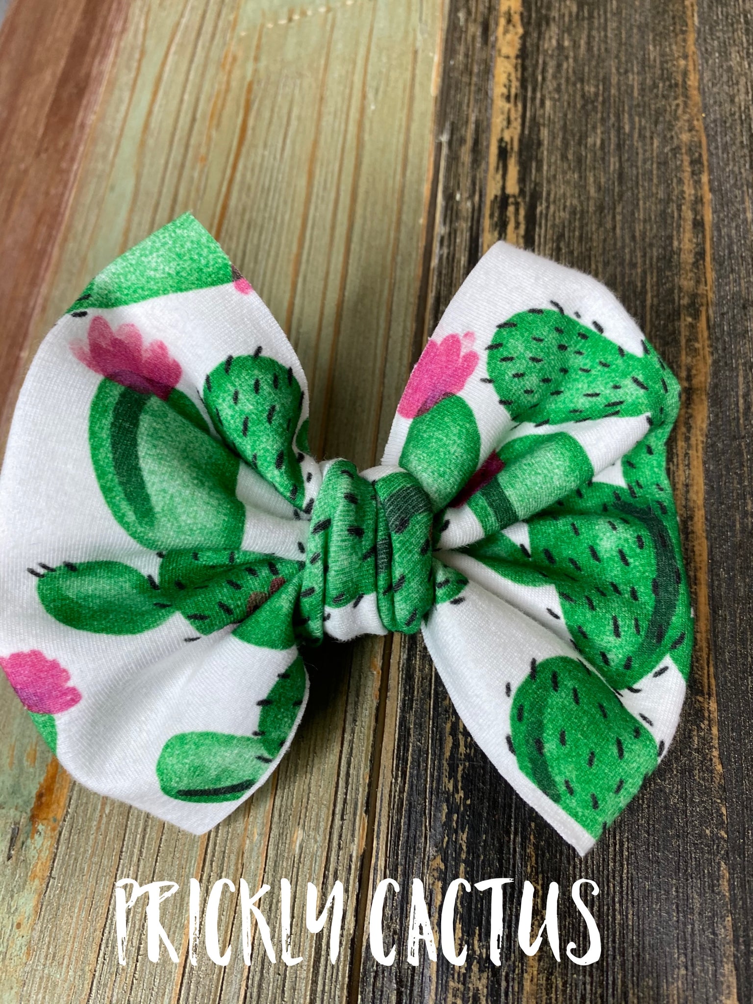 Prickly Cactus Bow