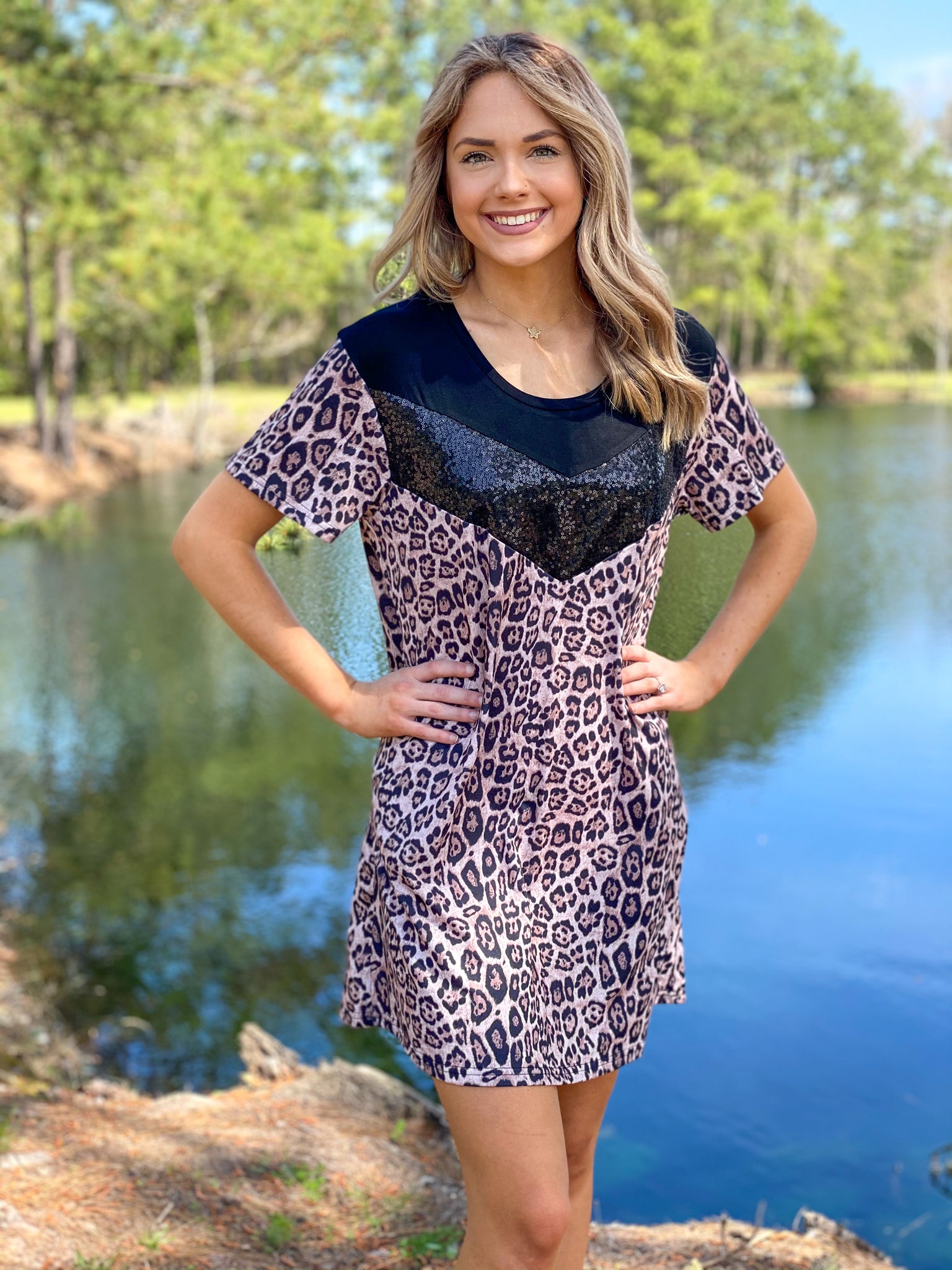 Leopard Sequin Chevron Dress